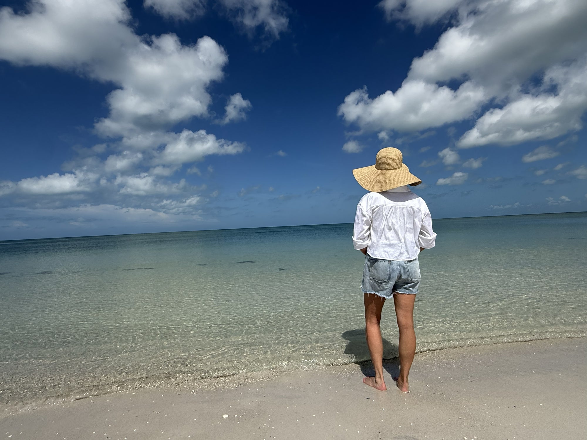 Person wearing a wide-brimmed hat standing in on a beach.